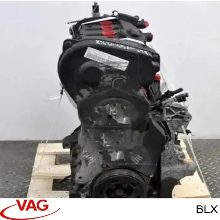 Motor completo BLX VAG