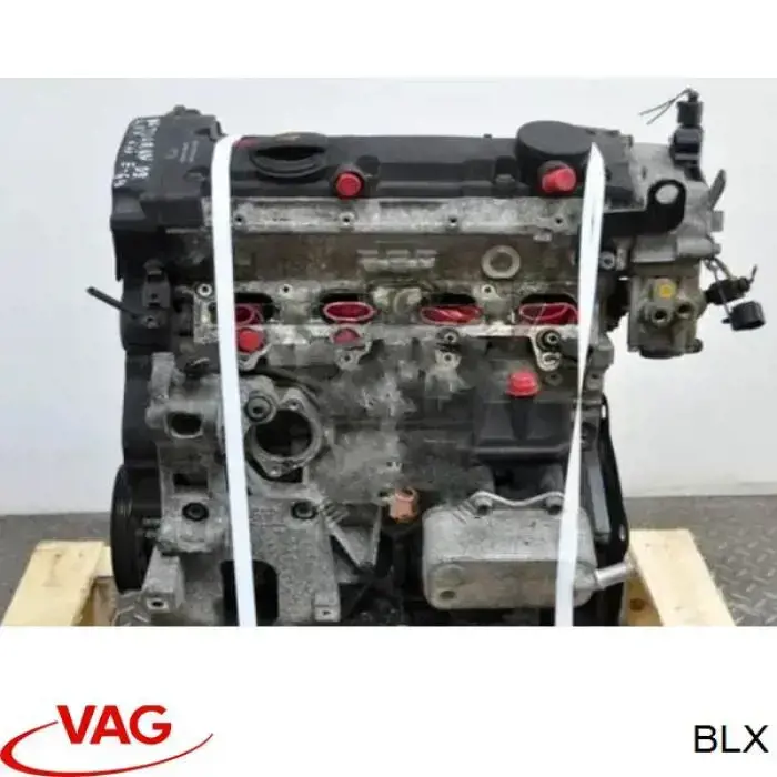 BLX VAG motor completo