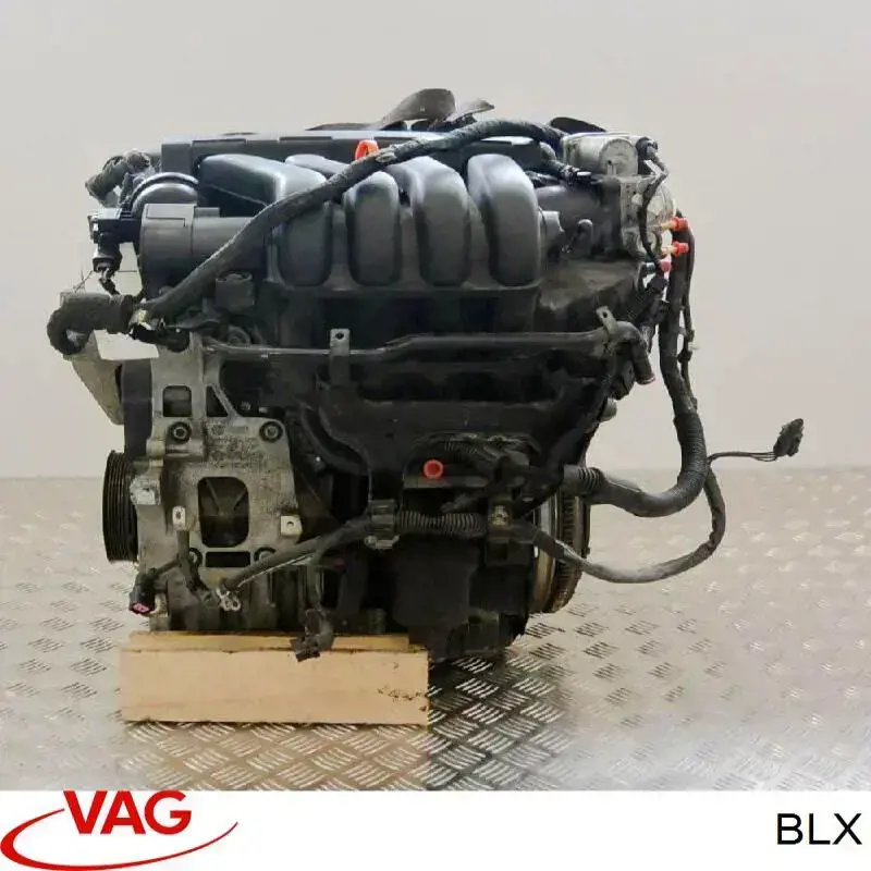 BLX VAG Motor completo