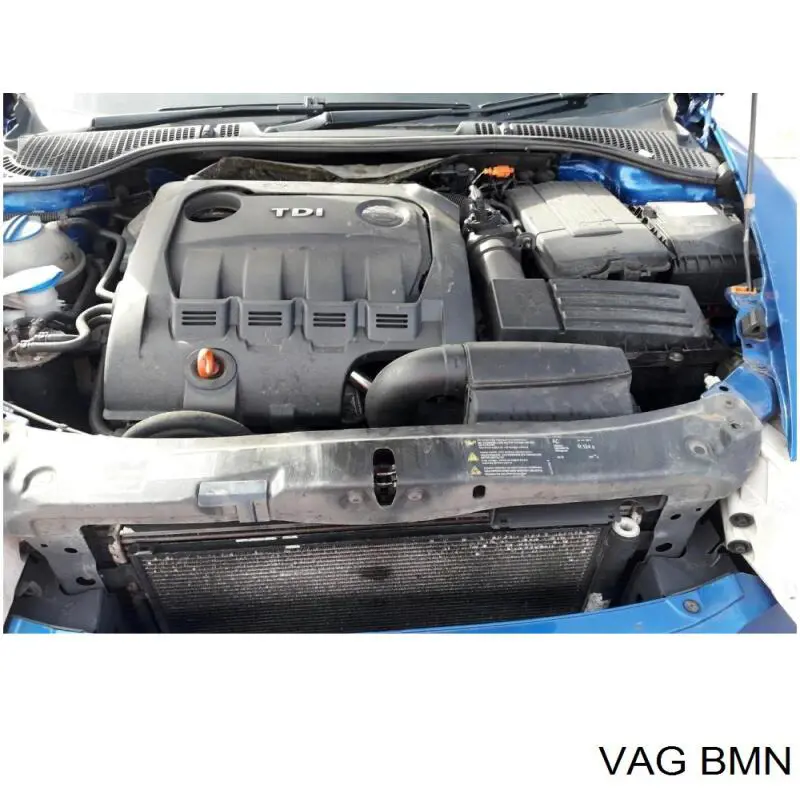 Motor completo BMN VAG