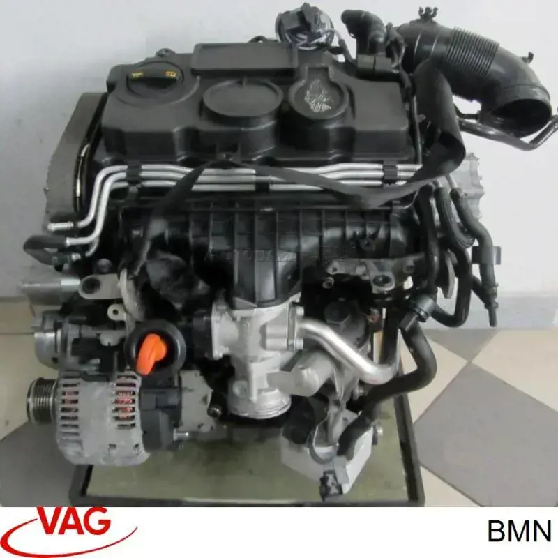 BMN VAG Motor completo