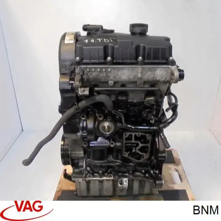 BNM VAG Motor completo