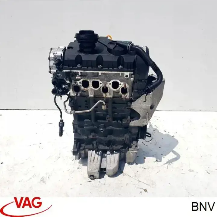 BNV VAG Motor completo