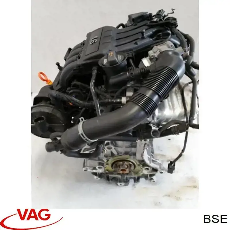 Motor completo VAG BSE