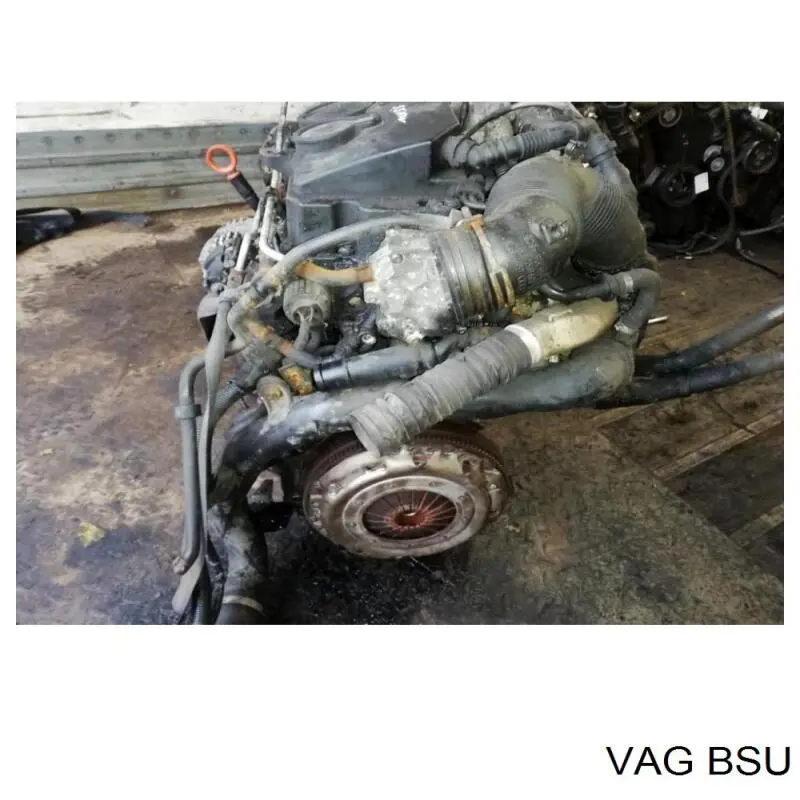 BSU VAG motor completo