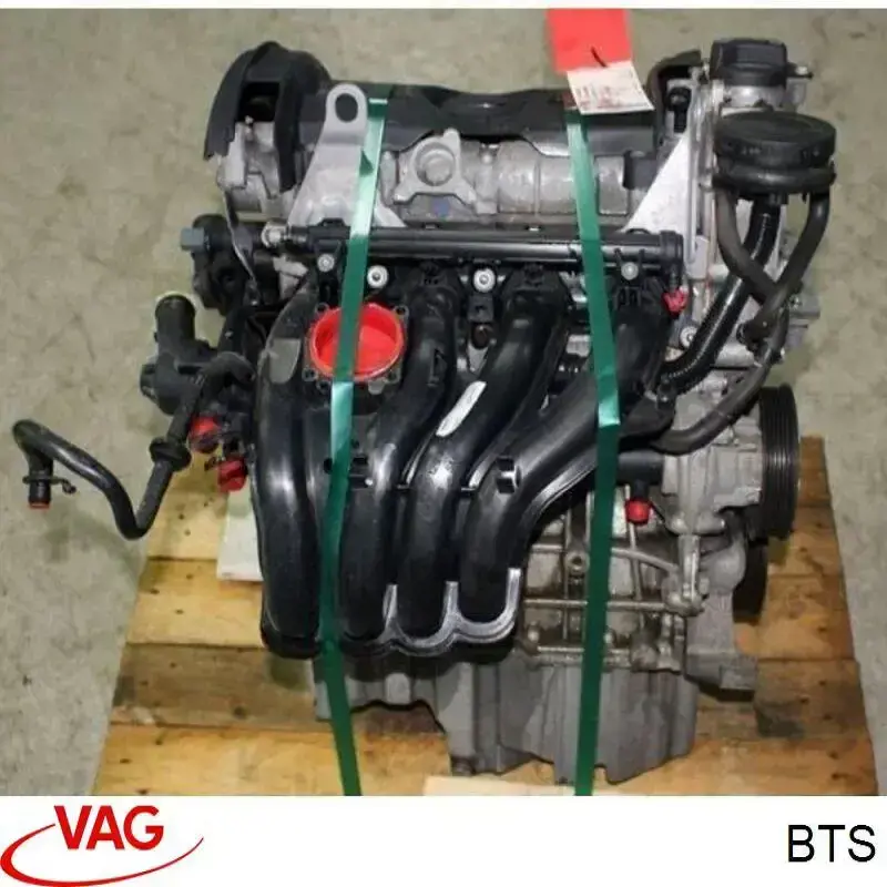 BTS VAG motor completo