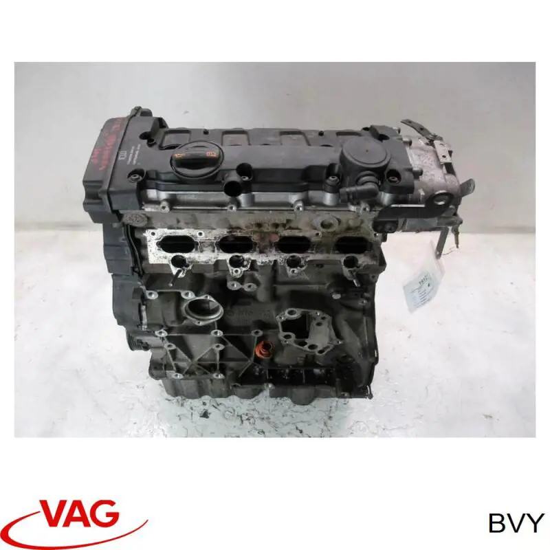 BVY VAG Motor completo