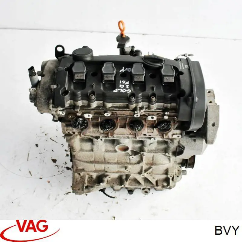 Motor completo VAG BVY precio, desde 1656,73 EUR