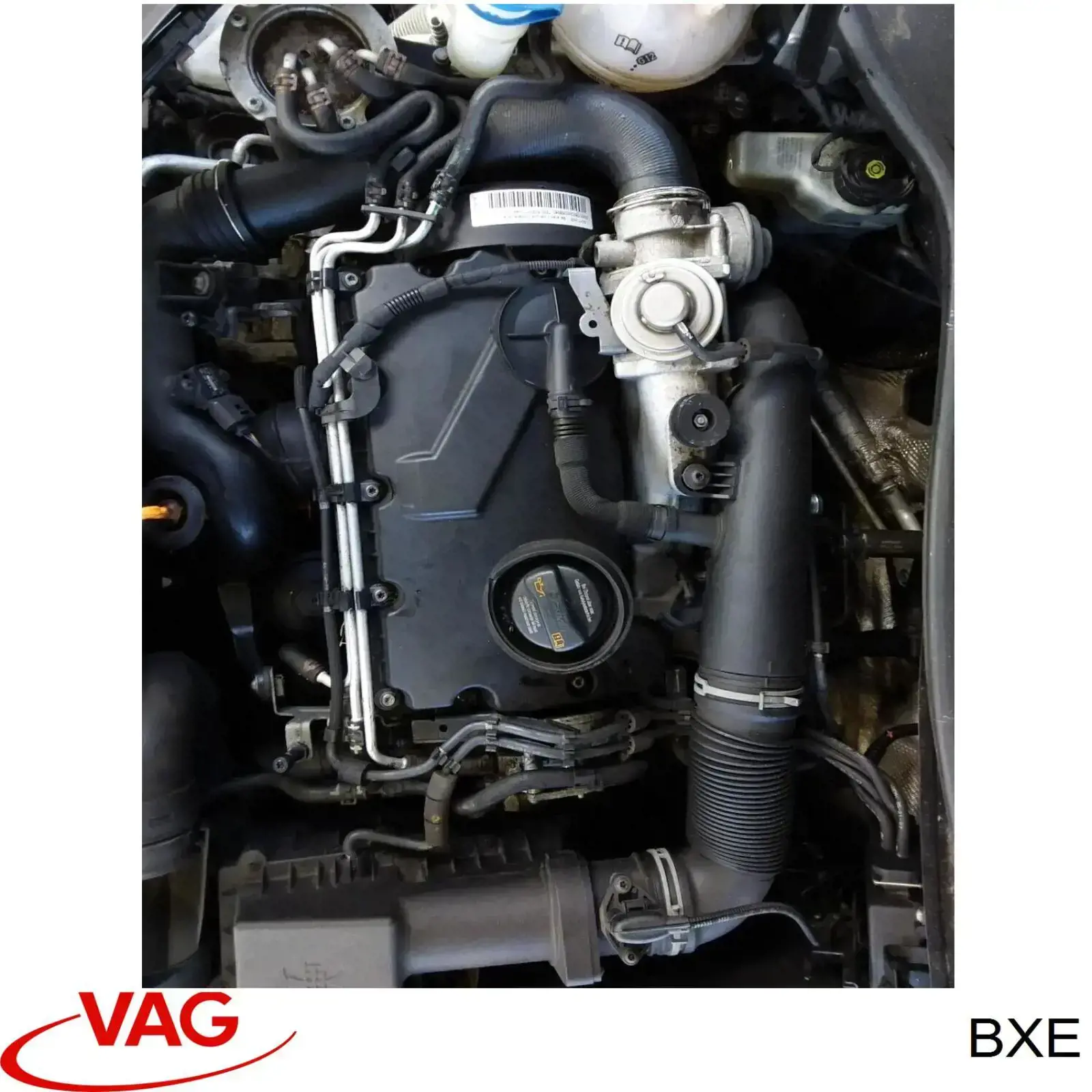 Comprar BXE VAG Motor completo