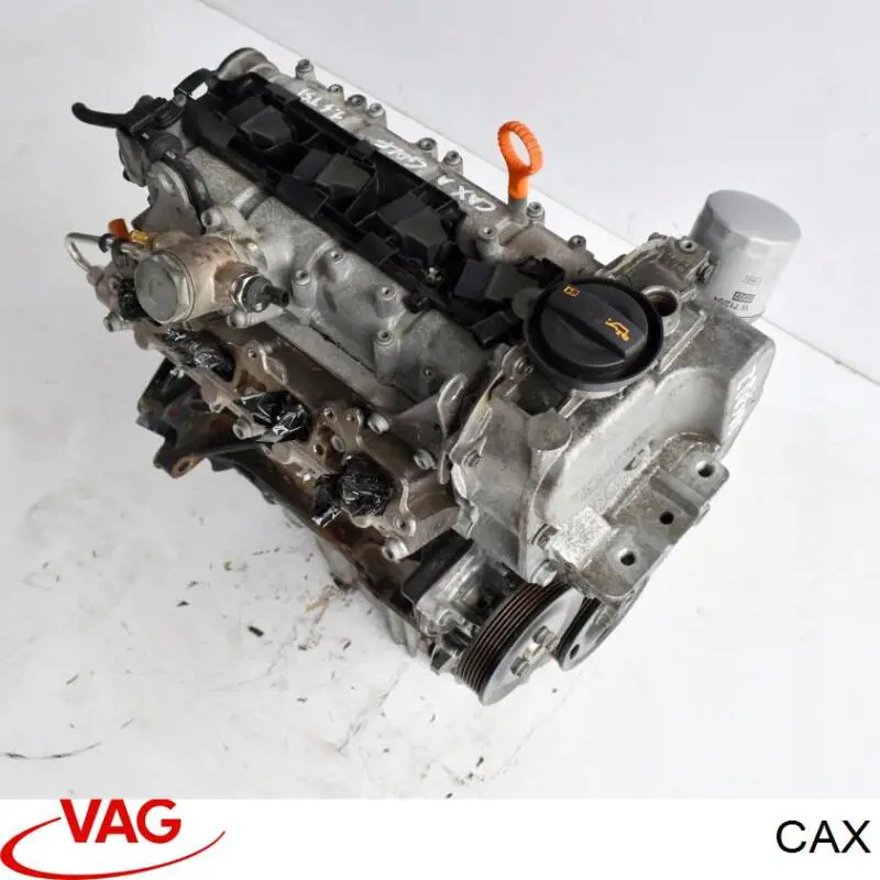 CAX VAG 