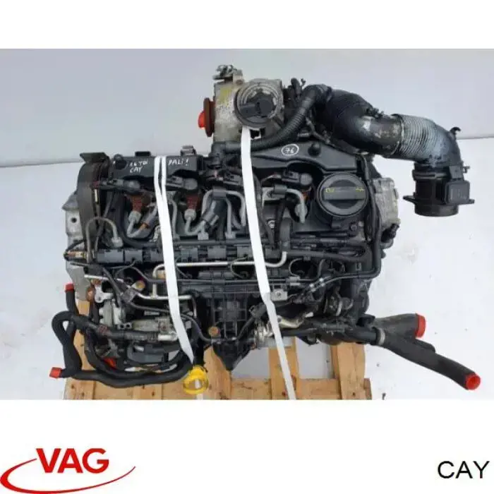 Comprar CAY VAG Motor completo