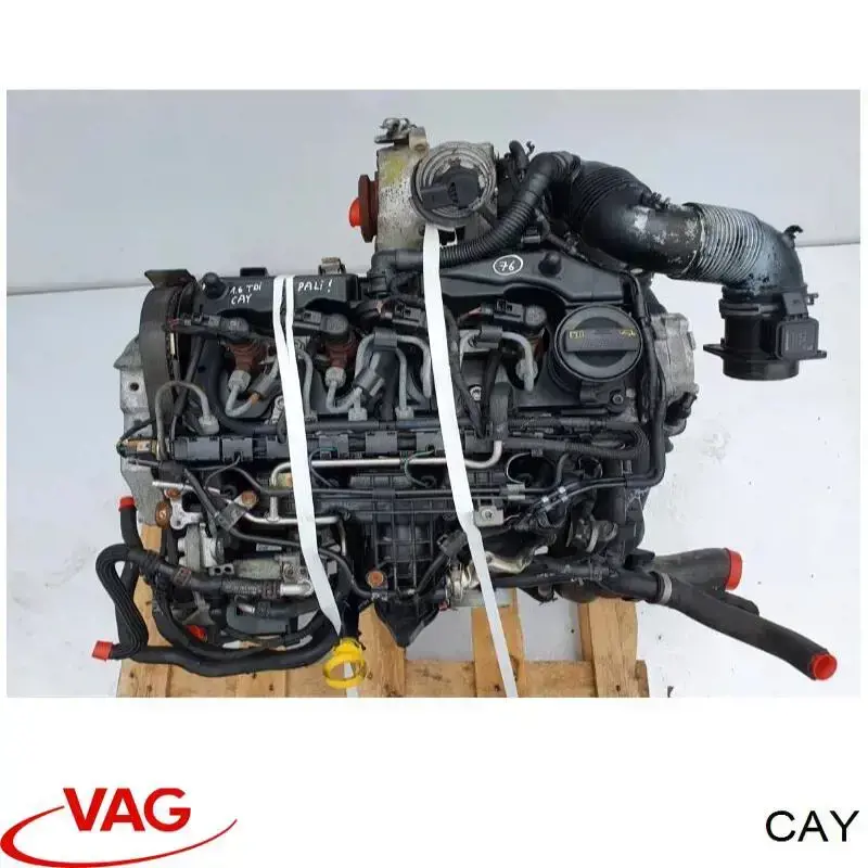 Motor completo CAY VAG