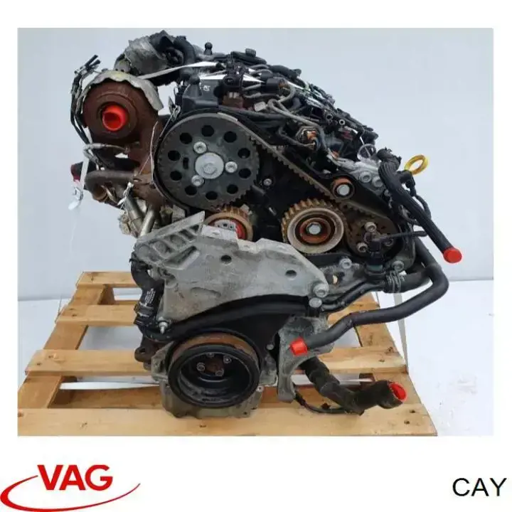 CAY VAG Motor completo