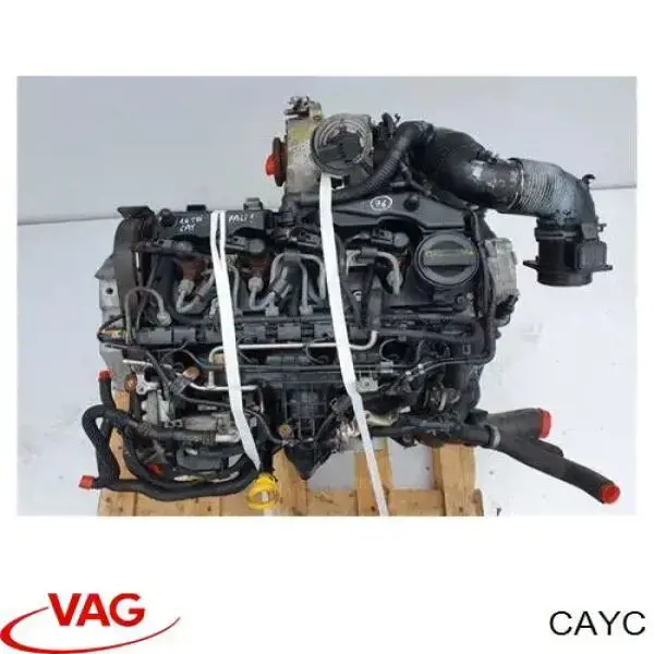 Motor completo VAG CAYC precio, desde 2164,93 EUR