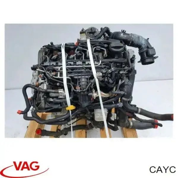 CAYC VAG motor completo