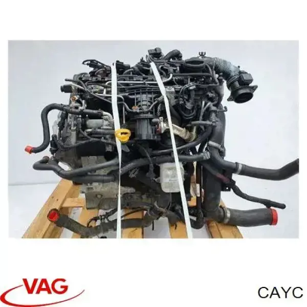 Comprar CAYC VAG Motor completo