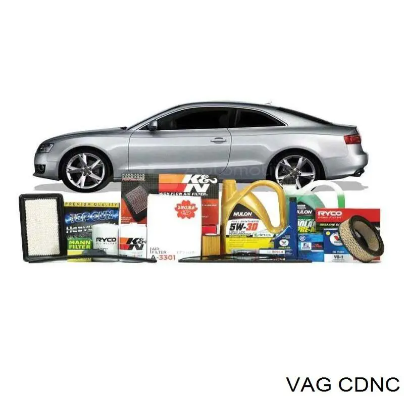 CDNC VAG motor completo