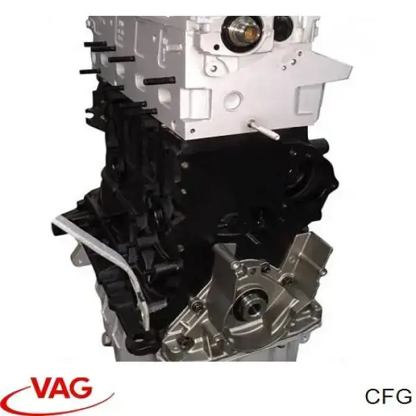 CFG VAG Motor completo