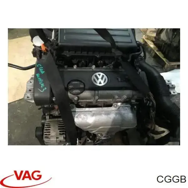 CGGB VAG Motor completo