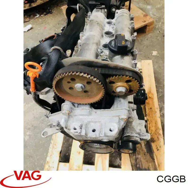 Motor completo VAG CGGB precio, desde 1051,25 EUR