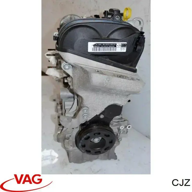 Motor completo 04E100031C VAG