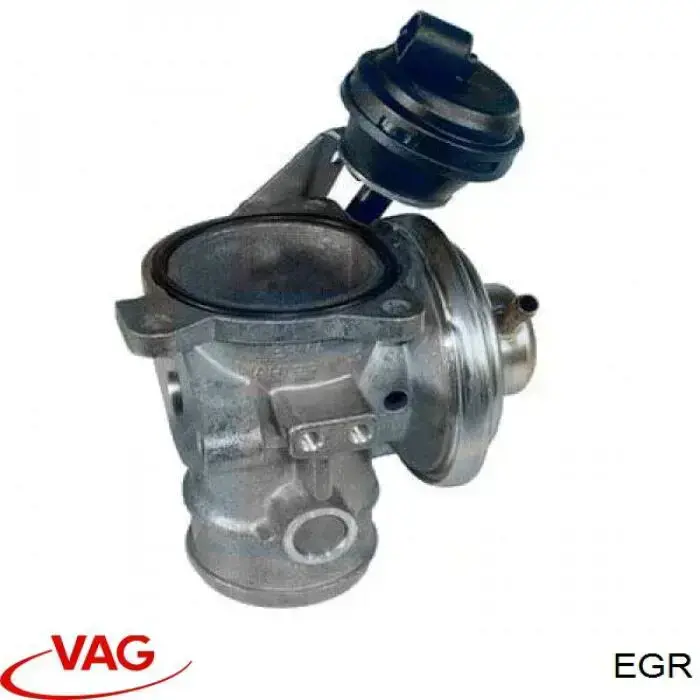 EGR VAG Transimisión manual