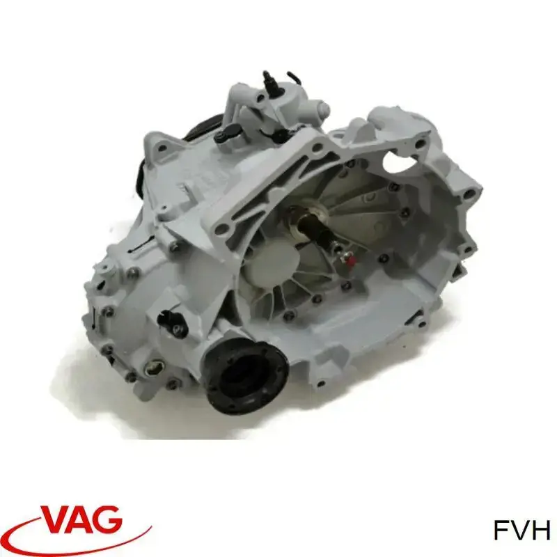 FVH VAG