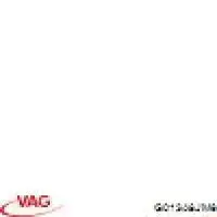 Antifreeze (Coolant) VAG G013A8JM8 precio, desde 16,64 EUR