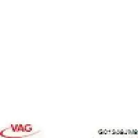 G013A8JM9 VAG Refrigerante