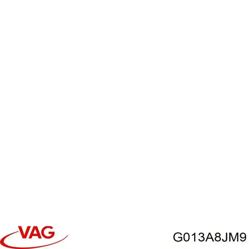 Antifreeze (Coolant) VAG G013A8JM9 precio, desde 179,47 EUR