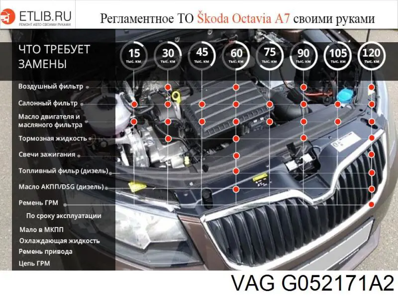 Aceite para transmisión automática  VAG G052171A2 precio, desde 28,57 EUR