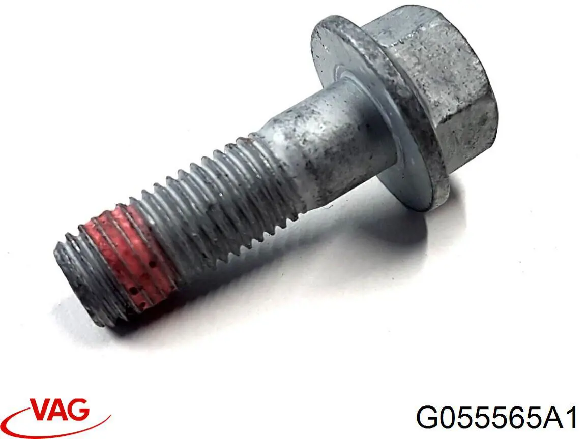  VAG G055565A1