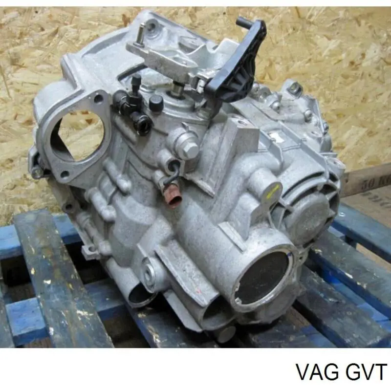 GVT VAG 