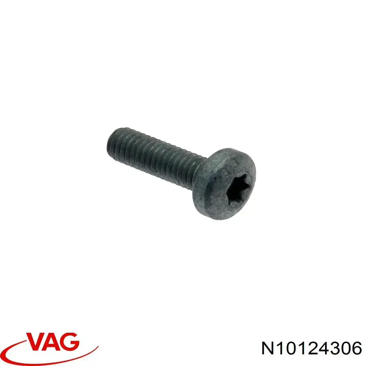 N10124306 VAG tornillo