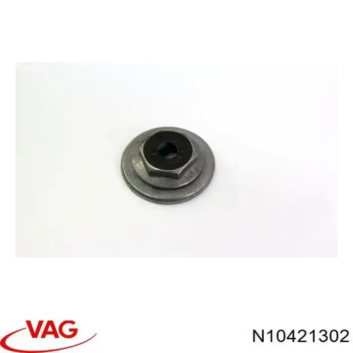 N10421301 VAG