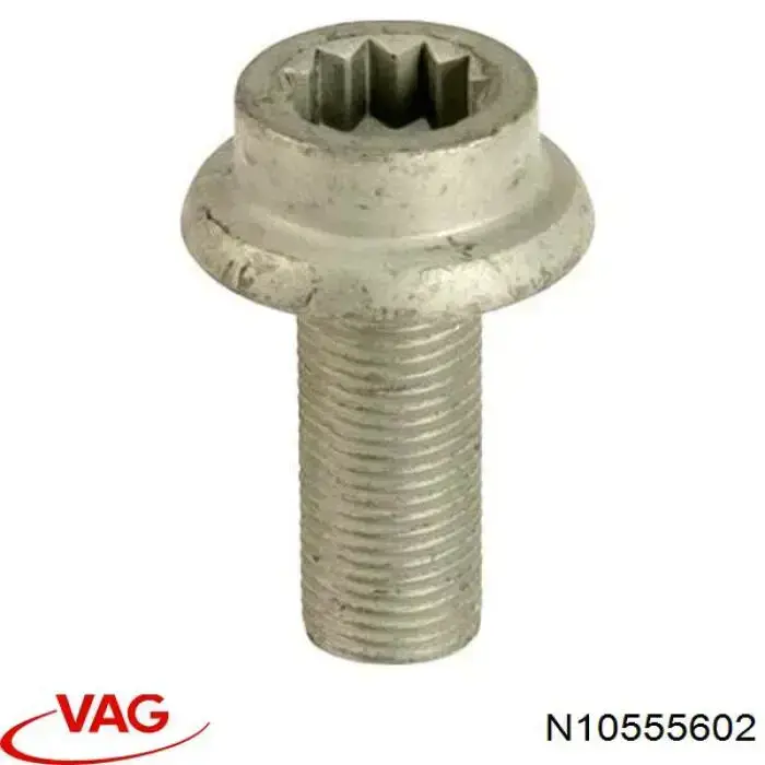 N10555602 VAG