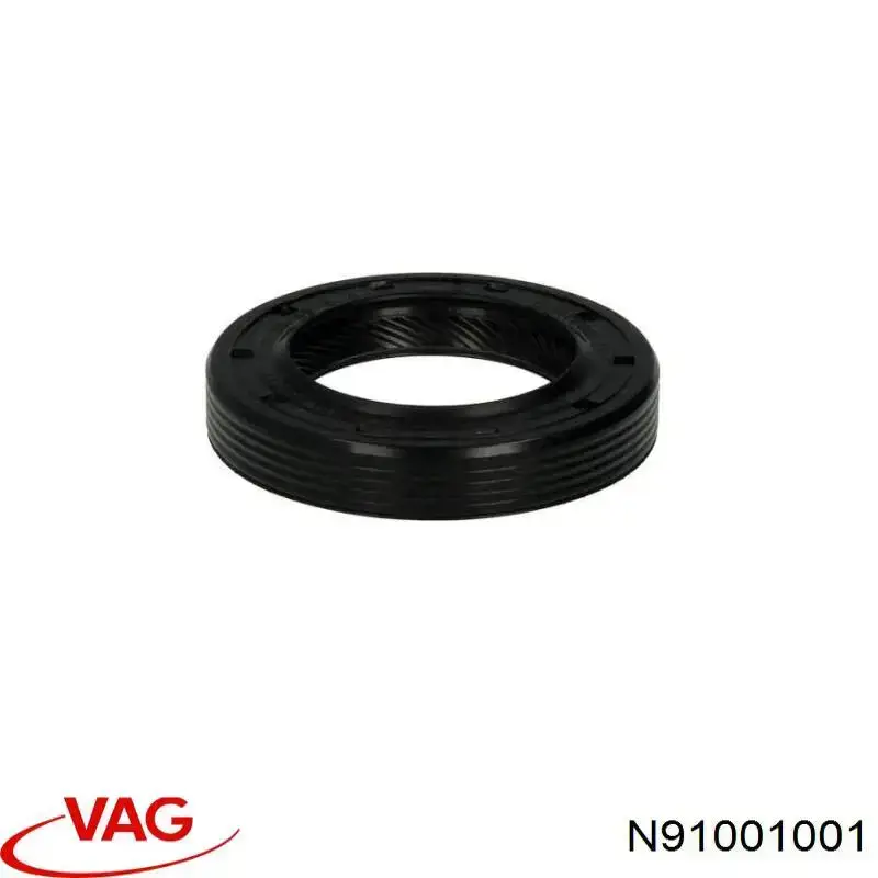  N91001001 VAG