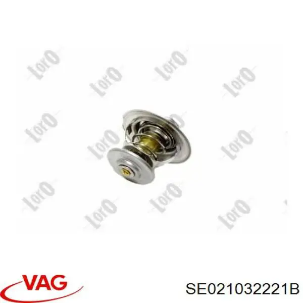 SE021032221B VAG termostato