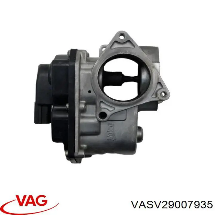 Comprar VASV29007935 VAG 