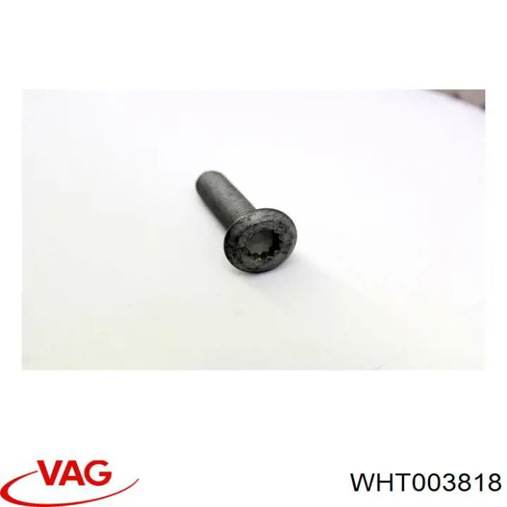  VAG WHT003818 precio, desde 29,12 EUR