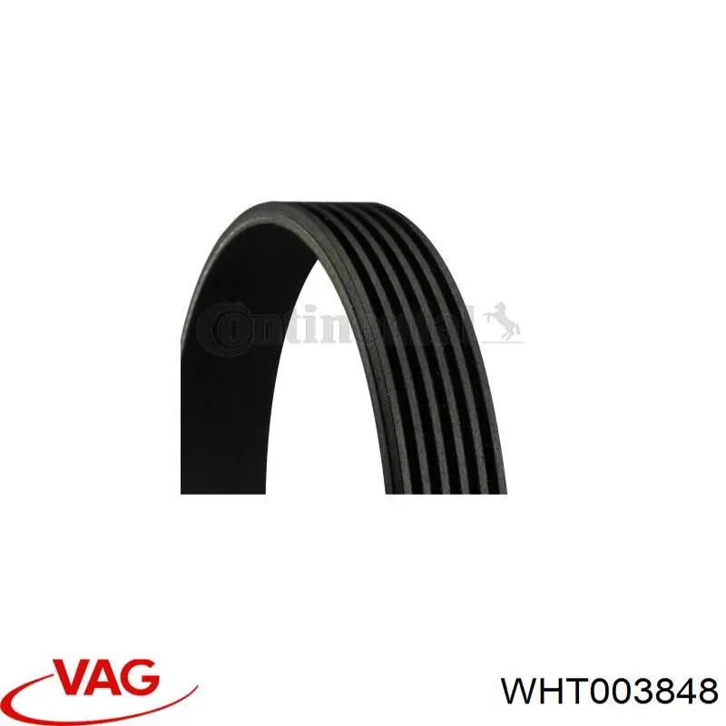 WHT003848 VAG