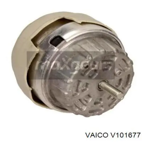 V10-1677 VEMO/Vaico soporte motor izquierdo