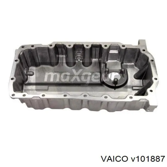 Cárter de aceite Skoda Octavia 1Z5