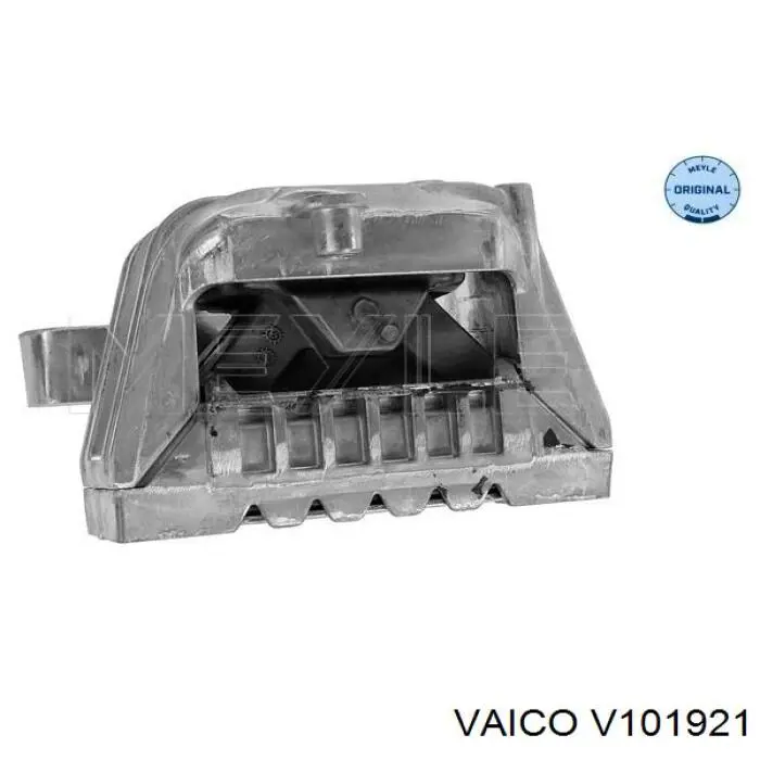 76601 Asam Soporte de motor derecho