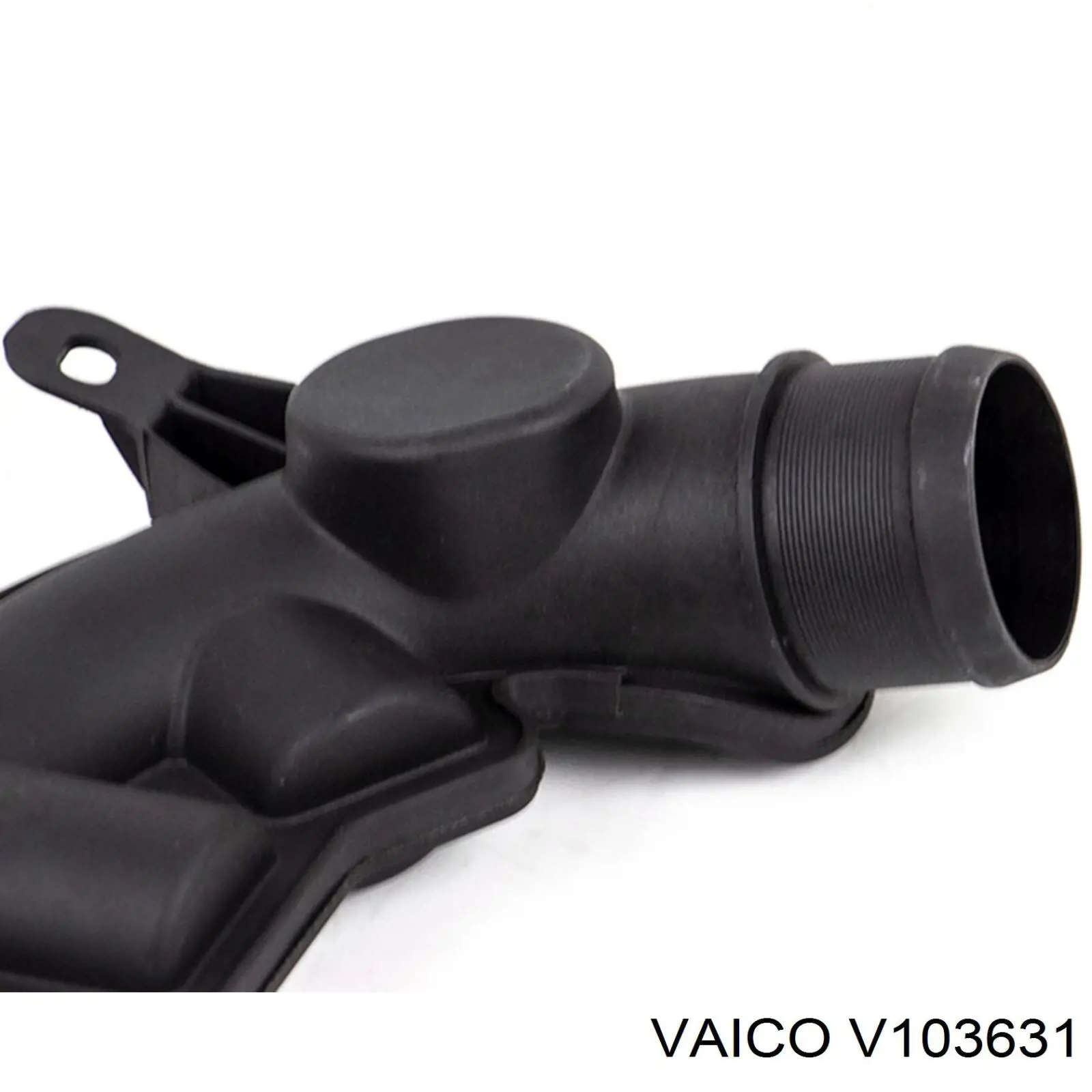 Tubo de vacío del servofreno Bogap A1912122 precio, desde 45,83 EUR