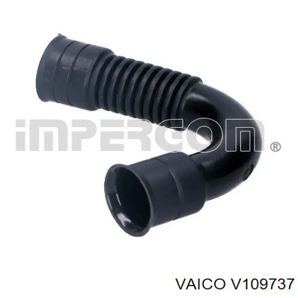 Válvula PCV VAG 038103493H precio, desde 7,72 EUR