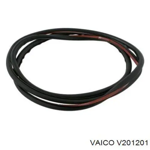 Junta de puerta delantera izquierda 51338194695 BMW