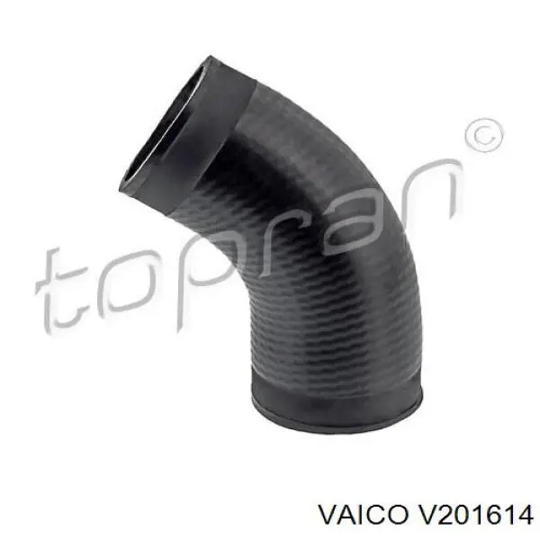 Tubo de admisión del cuerpo de mariposa Cautex 753210 precio, desde 17,97 EUR