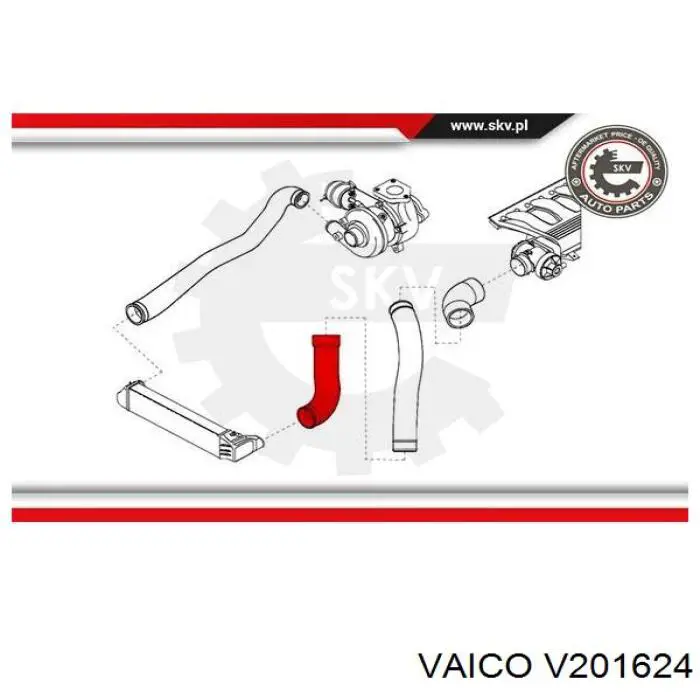 V201624 VEMO/Vaico tubo flexible de aire de sobrealimentación inferior izquierdo