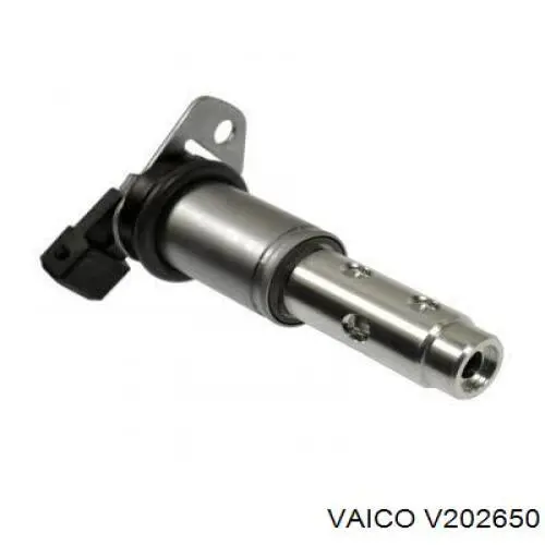 Válvula control, ajuste de levas BMW 5 E61